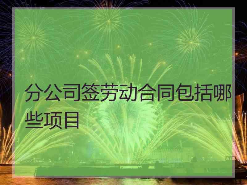 分公司签劳动合同包括哪些项目