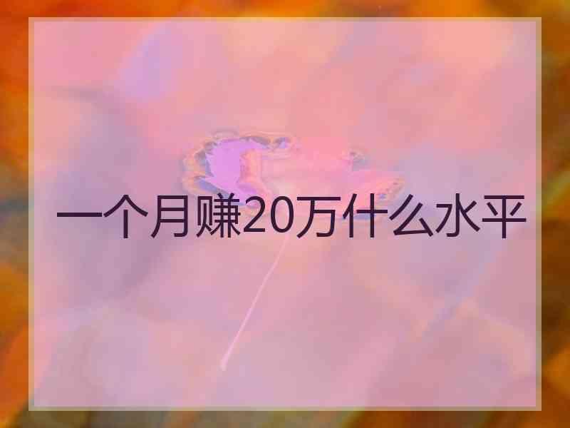 一个月赚20万什么水平