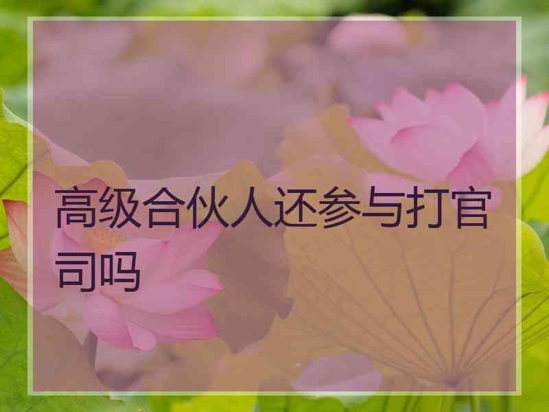高级合伙人还参与打官司吗