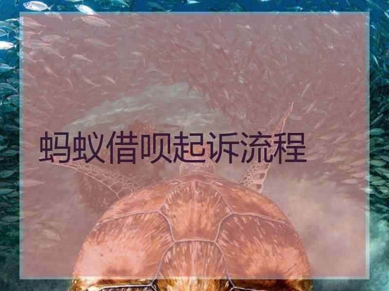 蚂蚁借呗起诉流程