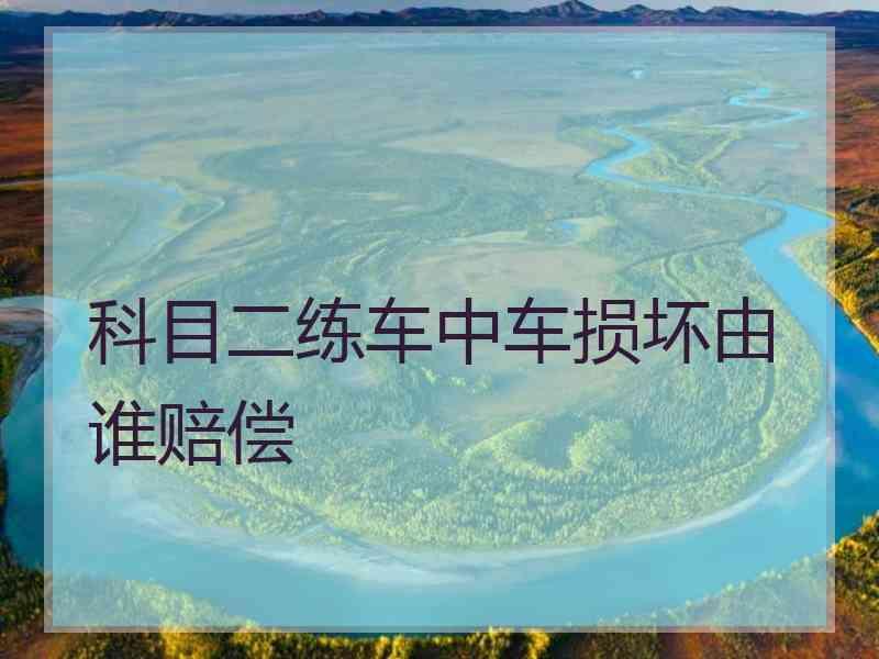 科目二练车中车损坏由谁赔偿