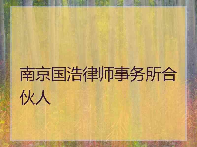 南京国浩律师事务所合伙人