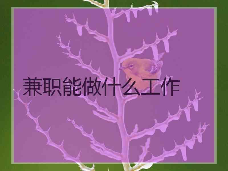 兼职能做什么工作