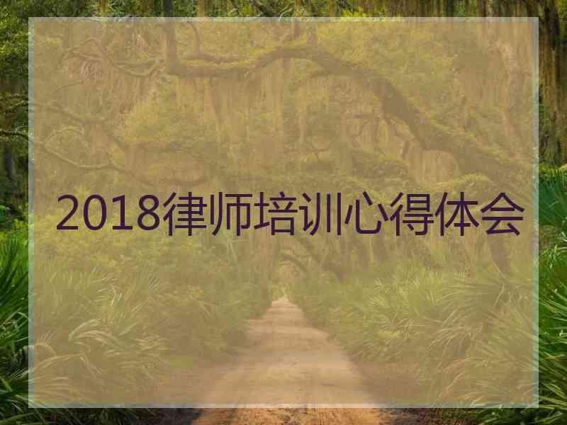 2018律师培训心得体会