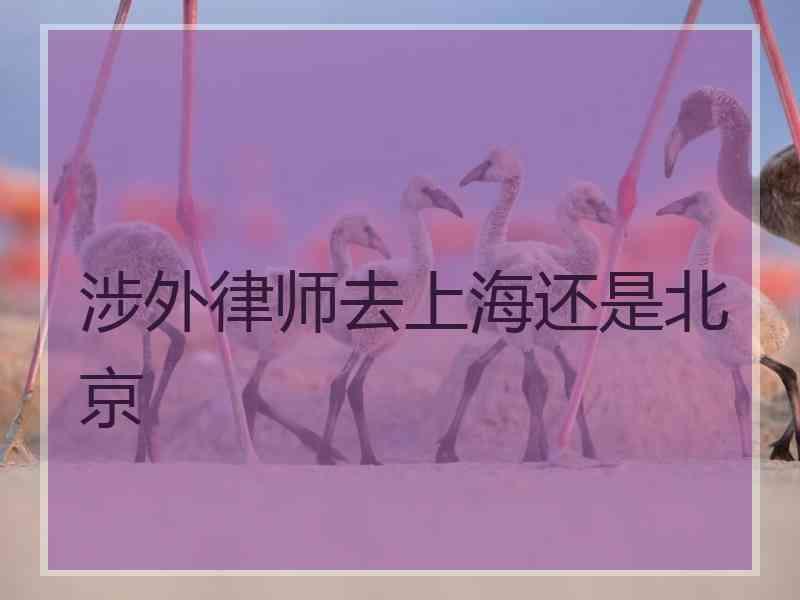 涉外律师去上海还是北京