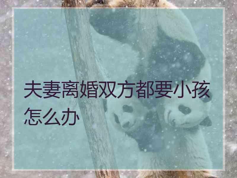 夫妻离婚双方都要小孩怎么办