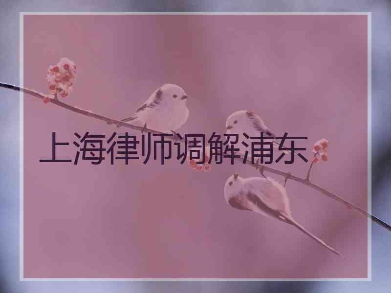 上海律师调解浦东