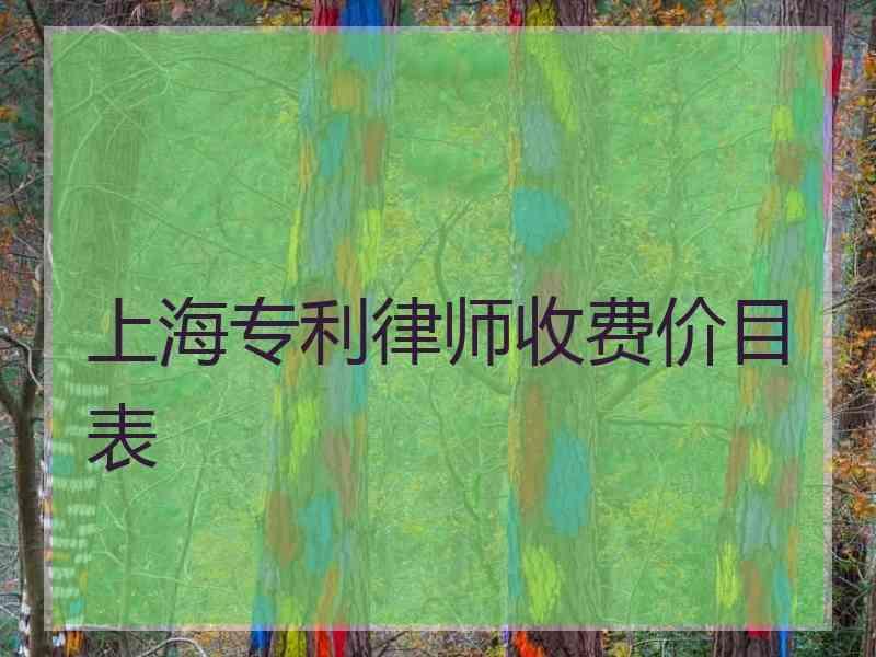 上海专利律师收费价目表