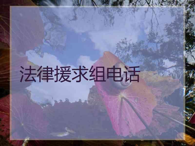 法律援求组电话