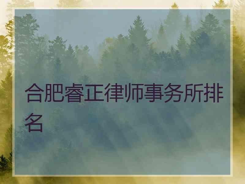 合肥睿正律师事务所排名