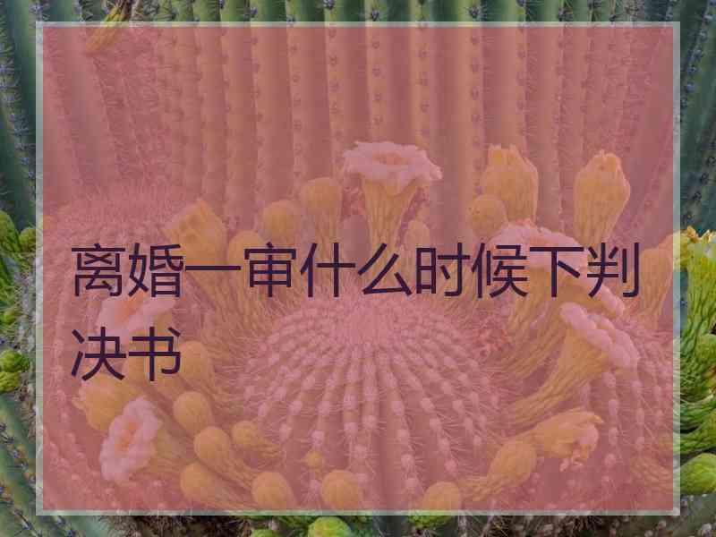 离婚一审什么时候下判决书