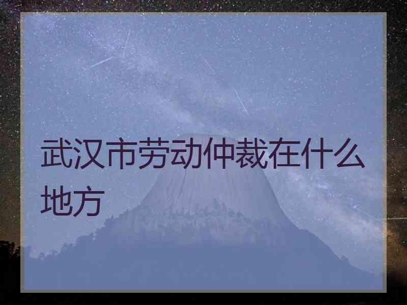 武汉市劳动仲裁在什么地方