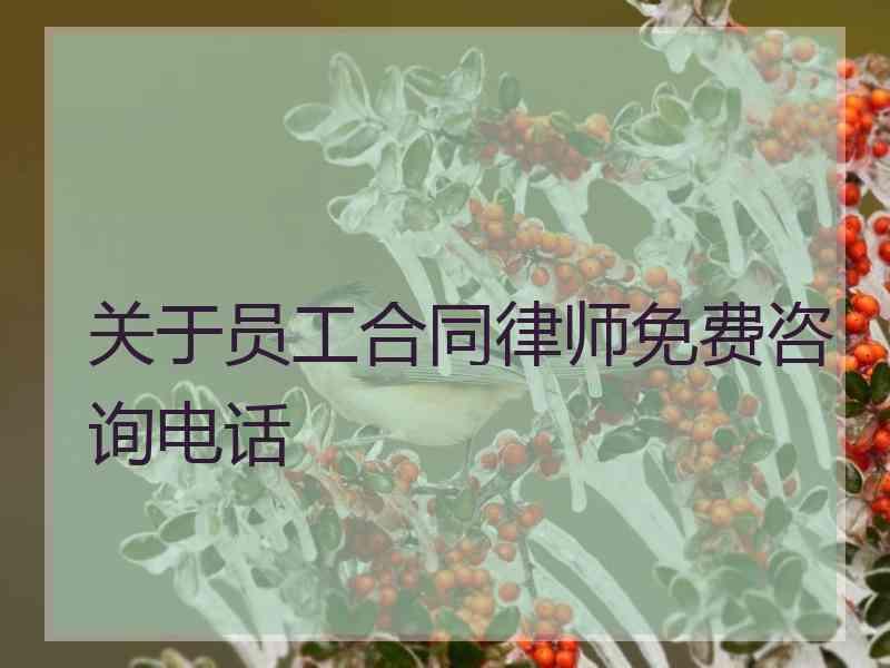 关于员工合同律师免费咨询电话