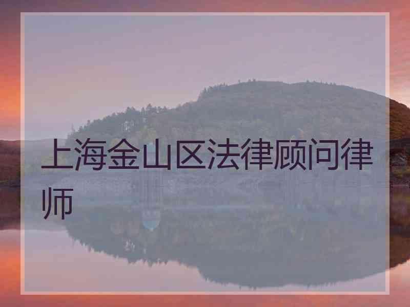 上海金山区法律顾问律师