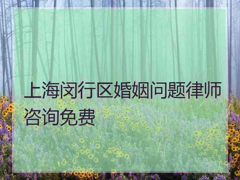 上海闵行区婚姻问题律师咨询免费