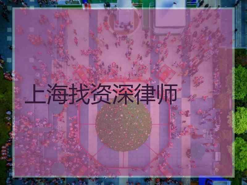 上海找资深律师