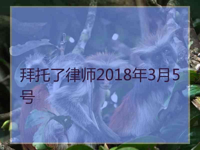 拜托了律师2018年3月5号