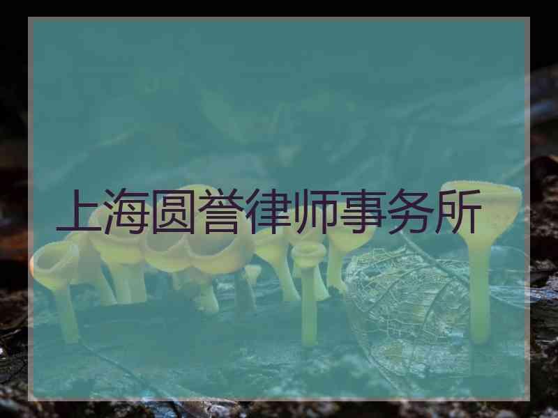 上海圆誉律师事务所