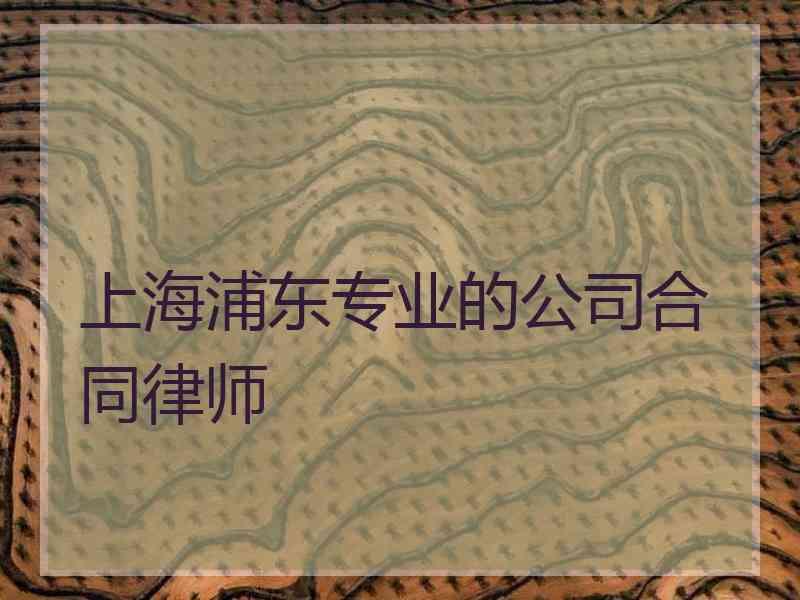 上海浦东专业的公司合同律师