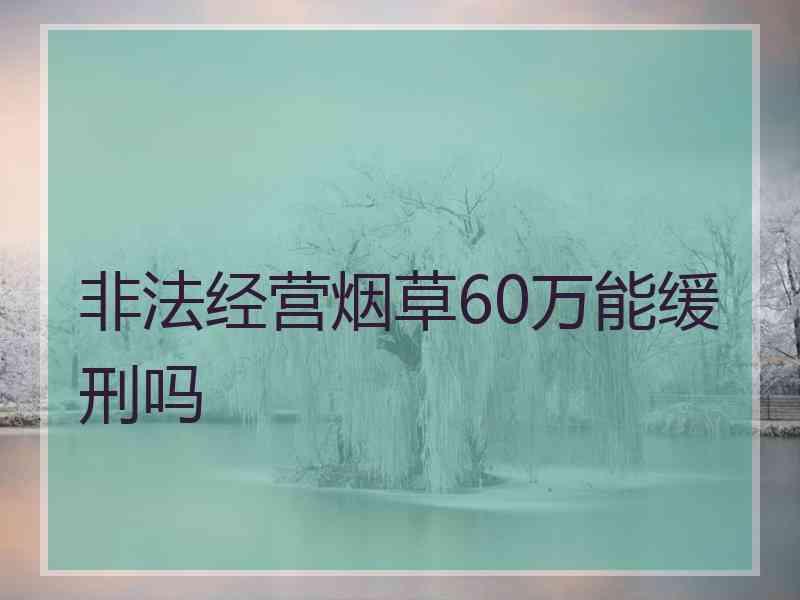 非法经营烟草60万能缓刑吗