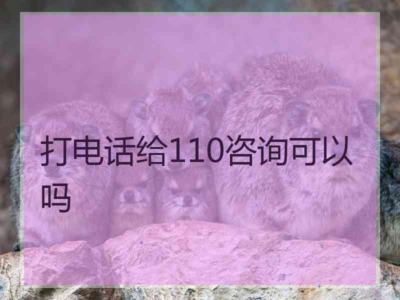 打电话给110咨询可以吗