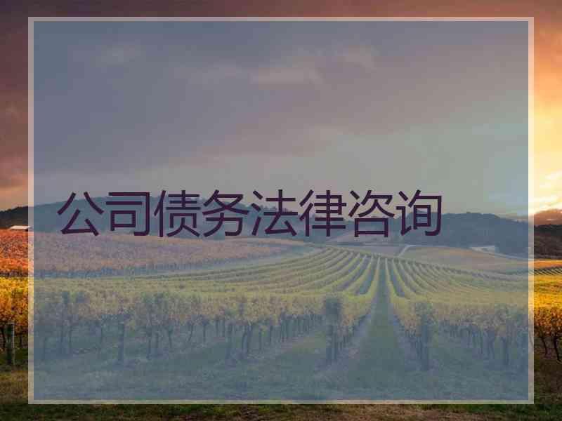 公司债务法律咨询