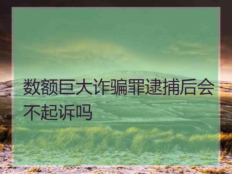 数额巨大诈骗罪逮捕后会不起诉吗