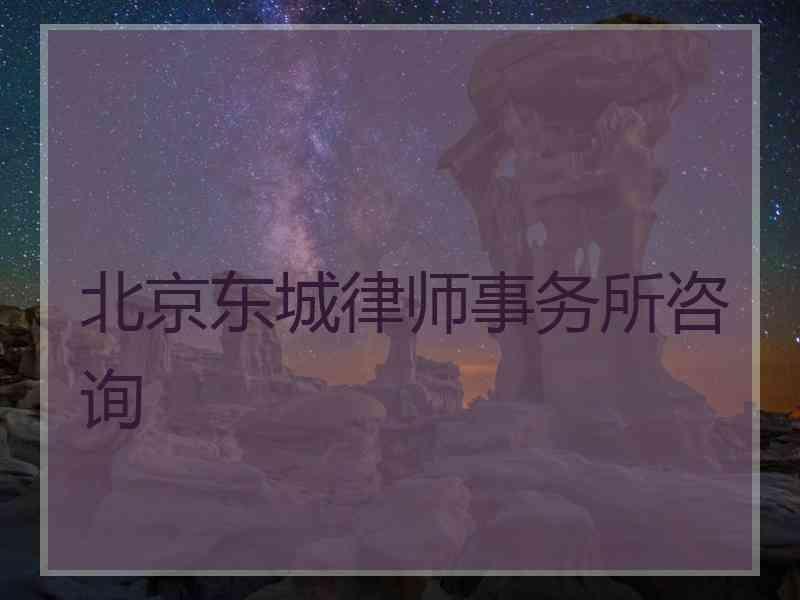 北京东城律师事务所咨询