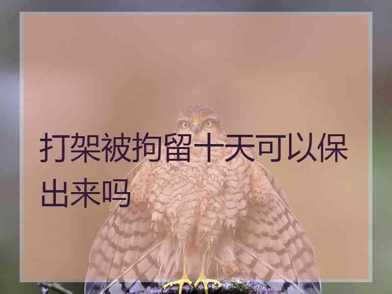 打架被拘留十天可以保出来吗