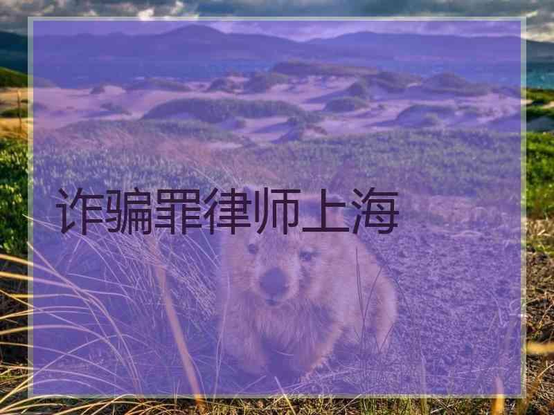 诈骗罪律师上海