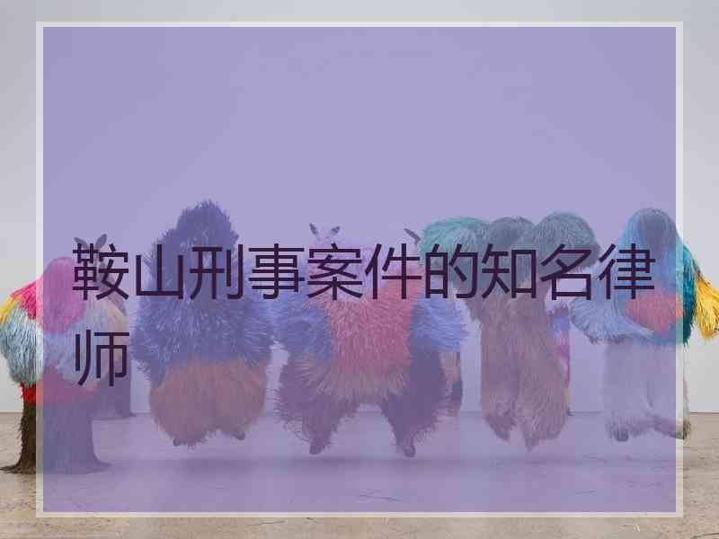 鞍山刑事案件的知名律师