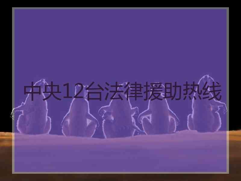 中央12台法律援助热线