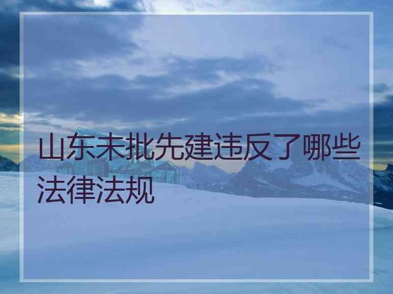 山东未批先建违反了哪些法律法规