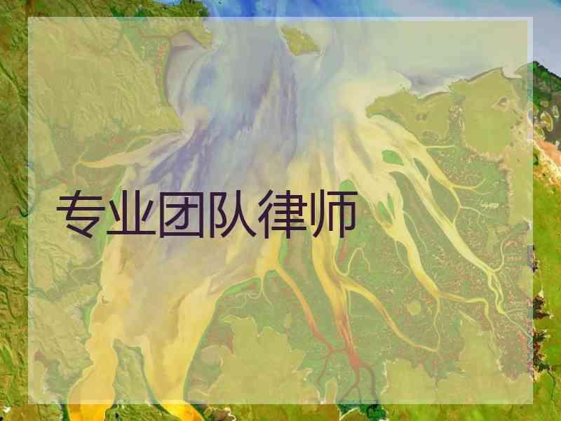 专业团队律师