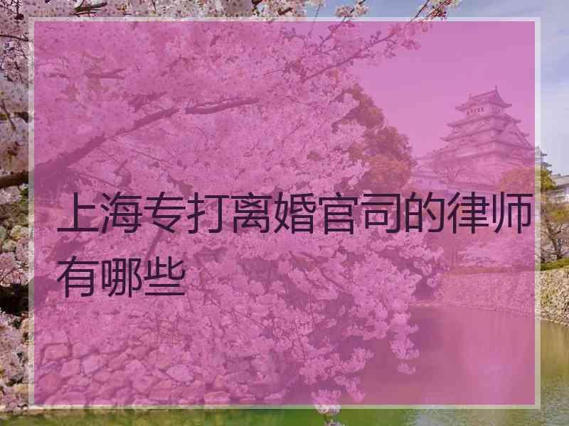 上海专打离婚官司的律师有哪些