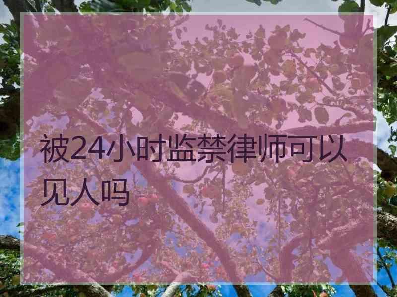 被24小时监禁律师可以见人吗