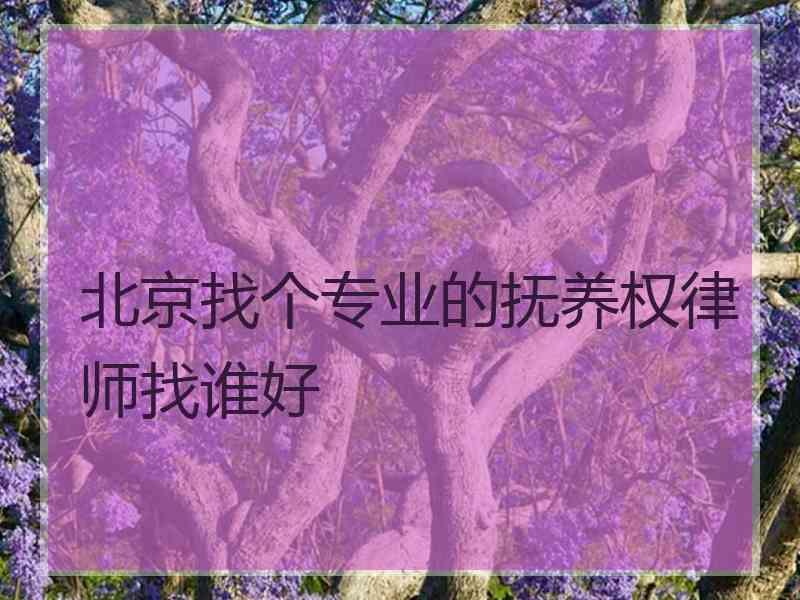 北京找个专业的抚养权律师找谁好