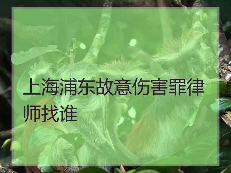 上海浦东故意伤害罪律师找谁