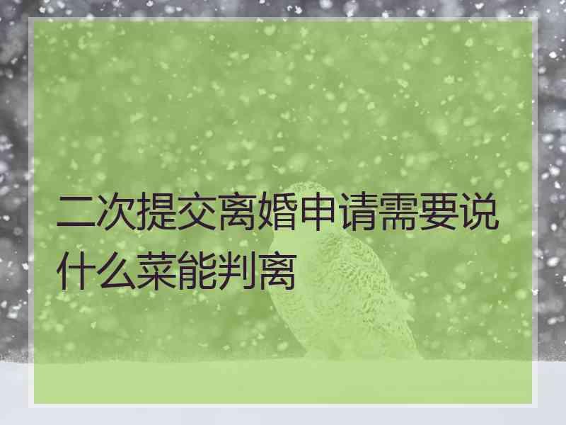 二次提交离婚申请需要说什么菜能判离