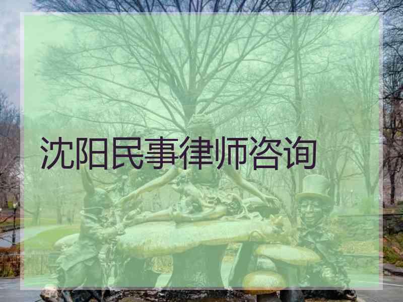 沈阳民事律师咨询