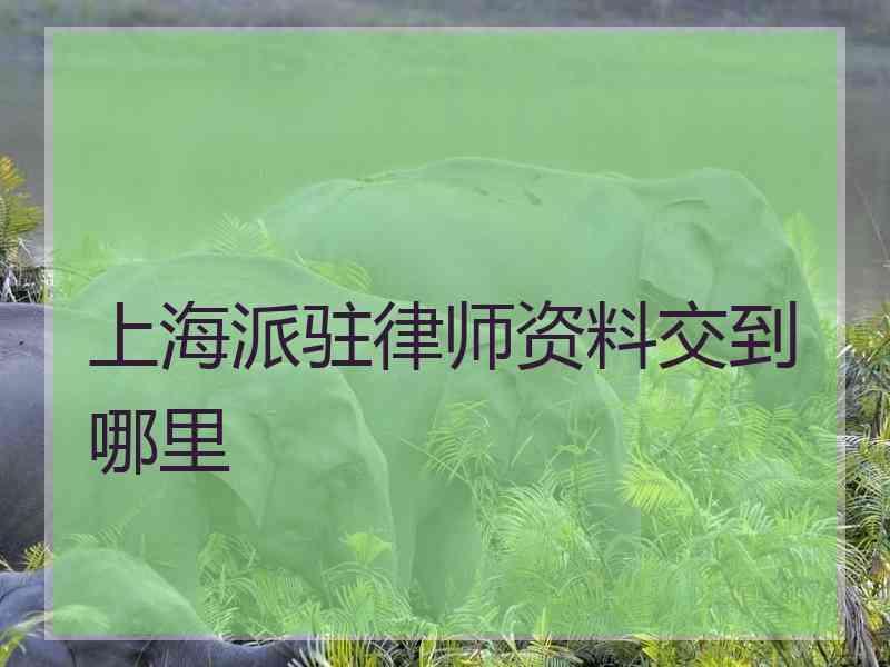 上海派驻律师资料交到哪里