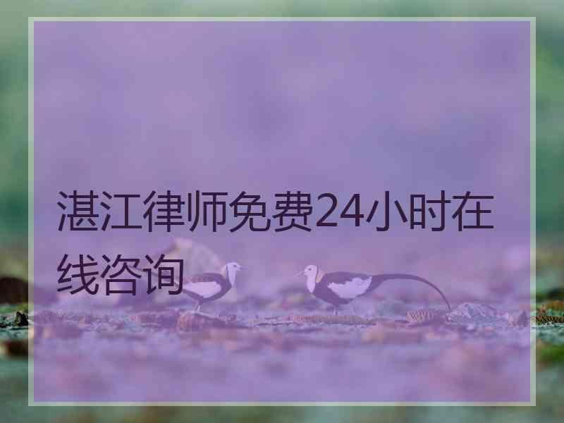 湛江律师免费24小时在线咨询