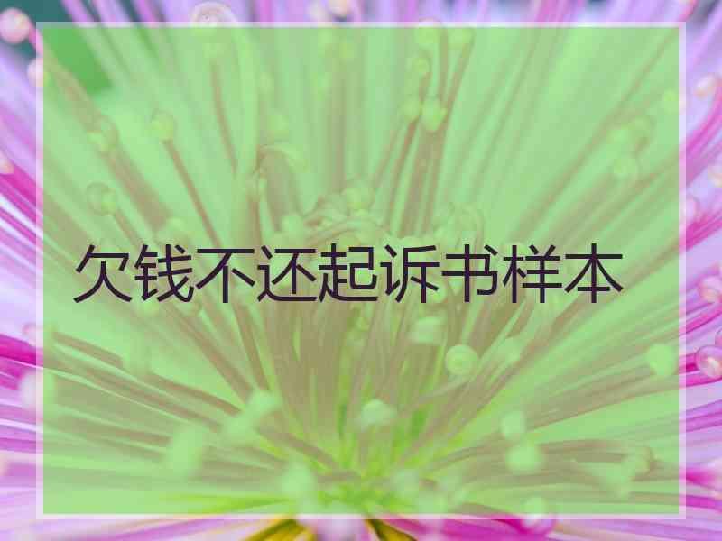 欠钱不还起诉书样本