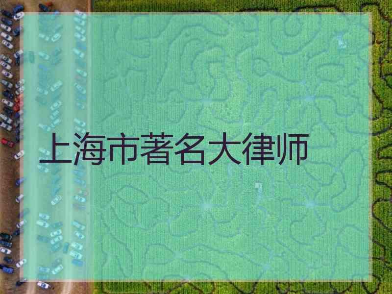 上海市著名大律师