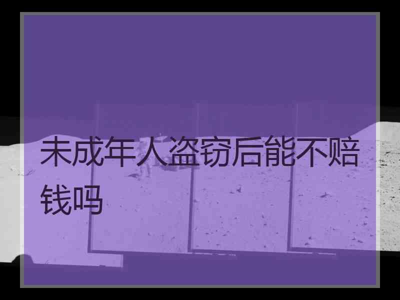 未成年人盗窃后能不赔钱吗