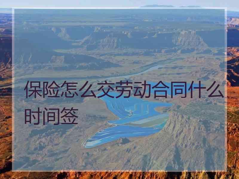 保险怎么交劳动合同什么时间签
