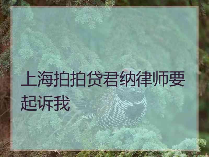 上海拍拍贷君纳律师要起诉我