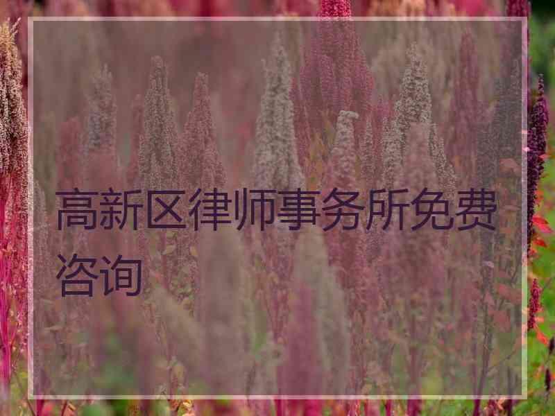 高新区律师事务所免费咨询