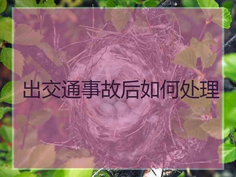 出交通事故后如何处理