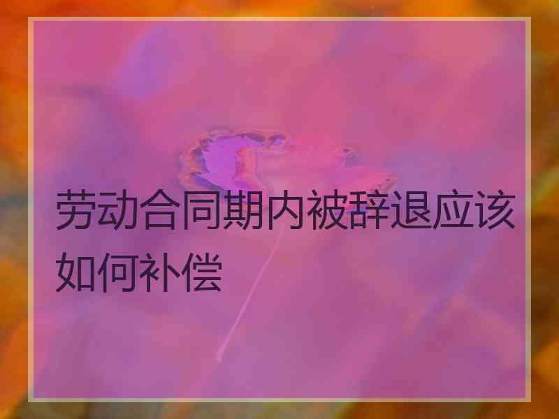 劳动合同期内被辞退应该如何补偿